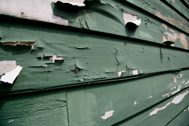Best Dumpster Rental Services  in Upland, IN